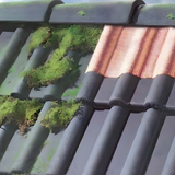 Anti-moss Copper Roof Tape