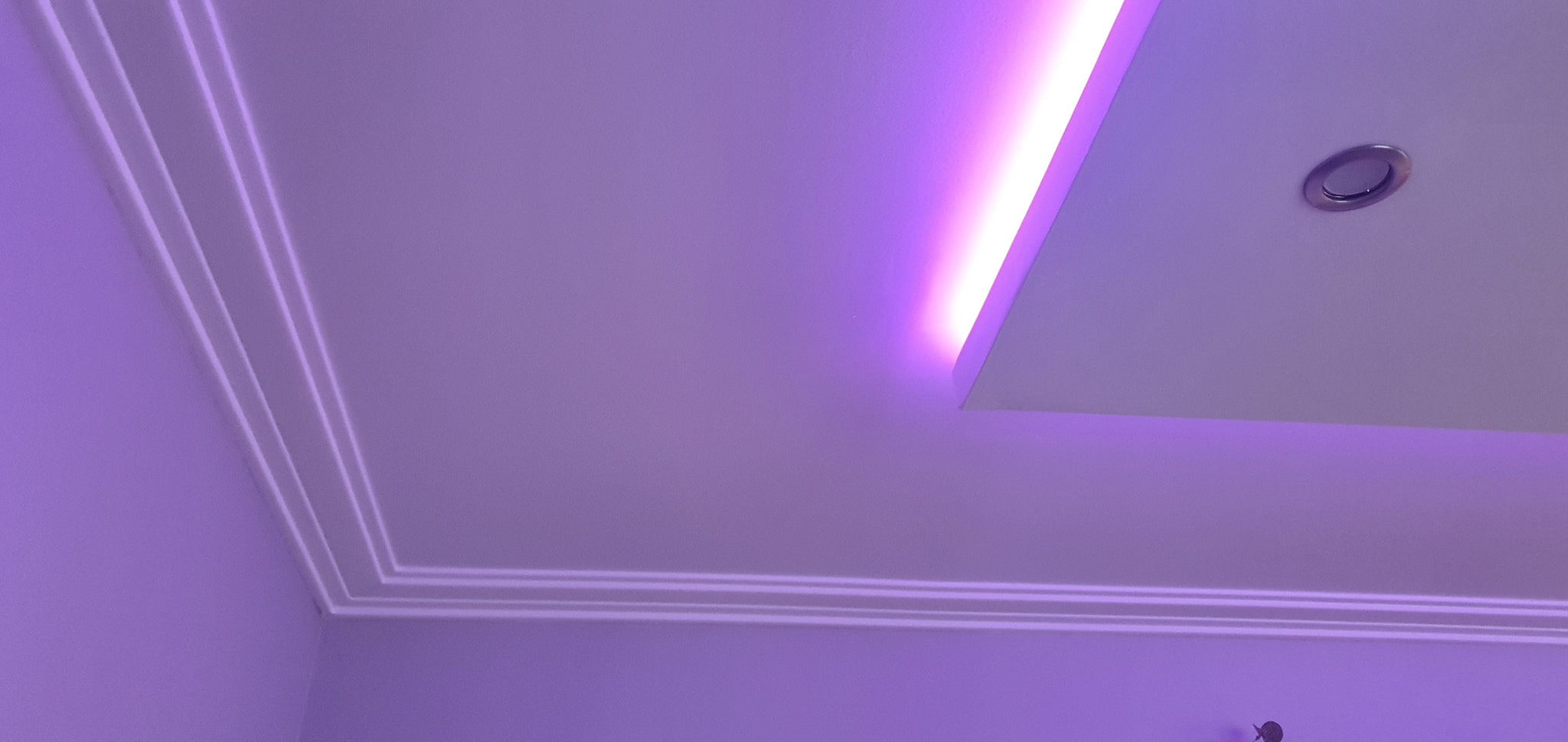 BLX5 - Lightweight XPS Ceiling Wall Coving