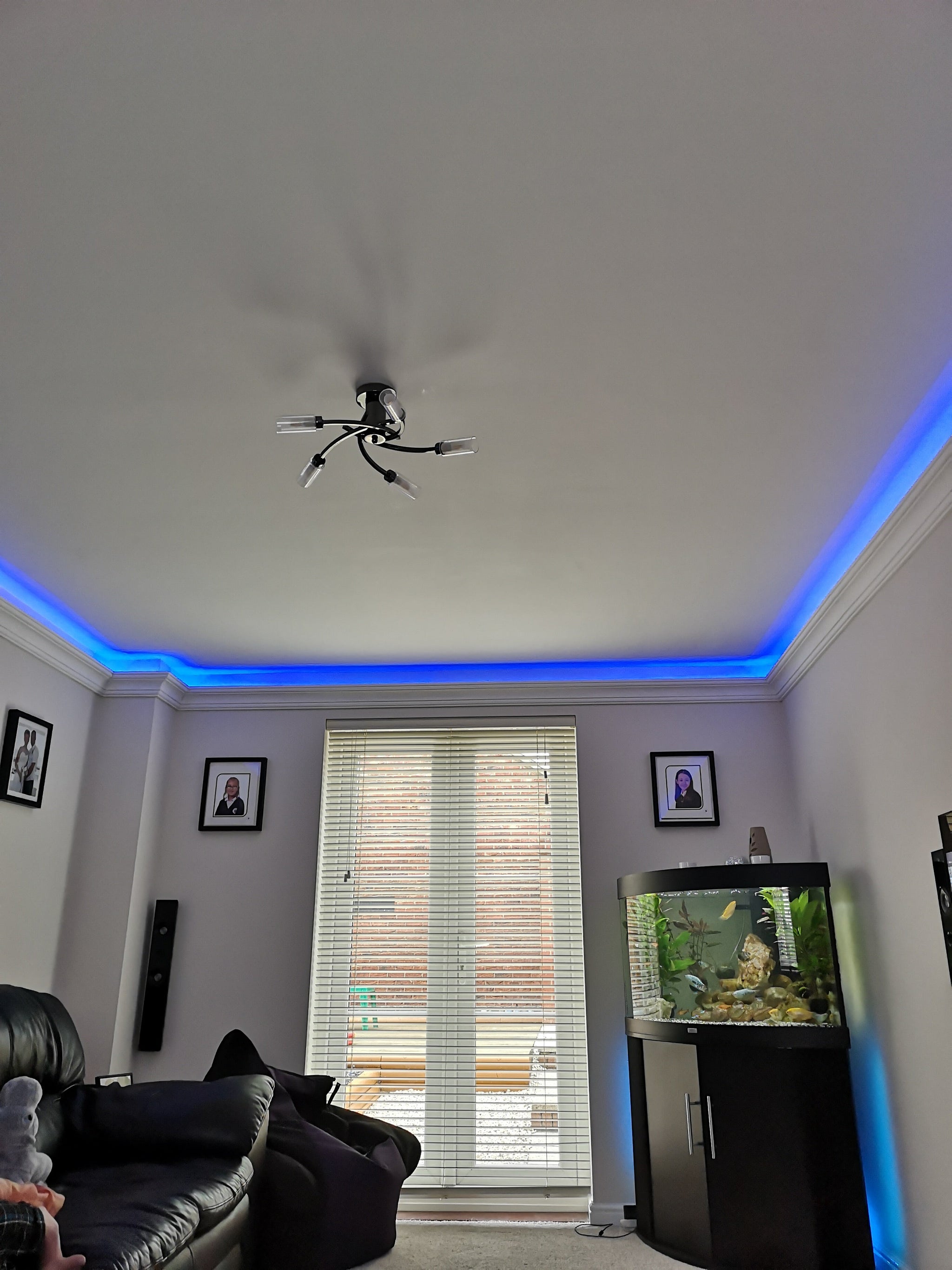 Polystyrene Coving for LED BFS2 140x140 x 28M CLEARANCE -25%