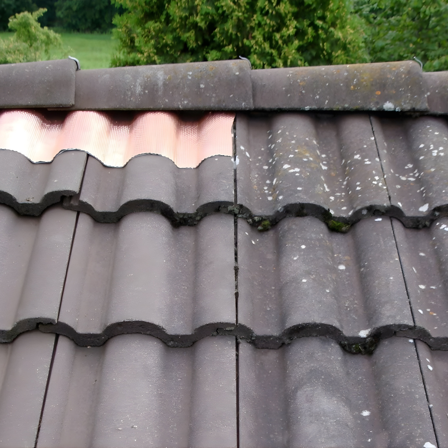 Anti-moss Copper Roof Tape